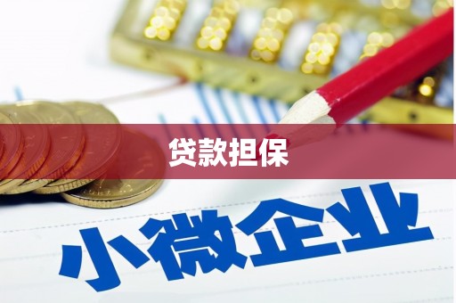 左镇贷款担保