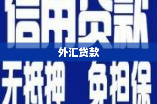 左镇外汇贷款