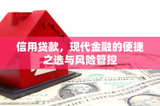 左镇信用贷款，现代金融的便捷之选与风险管控