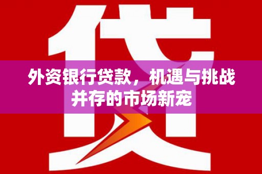 左镇外资银行贷款，机遇与挑战并存的市场新宠