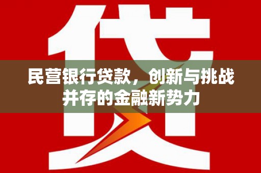左镇民营银行贷款，创新与挑战并存的金融新势力