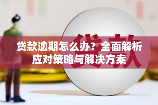 左镇贷款逾期怎么办？全面解析应对策略与解决方案