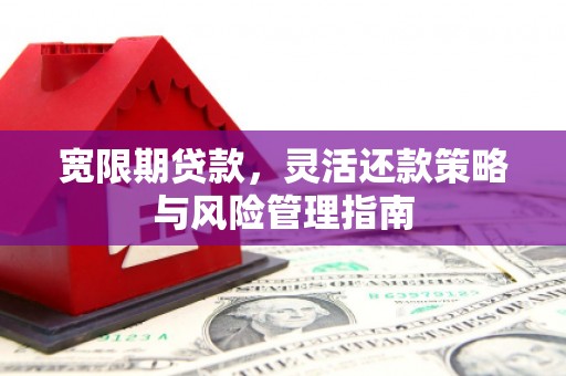 左镇宽限期贷款，灵活还款策略与风险管理指南