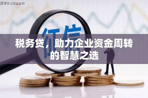 左镇税务贷，助力企业资金周转的智慧之选