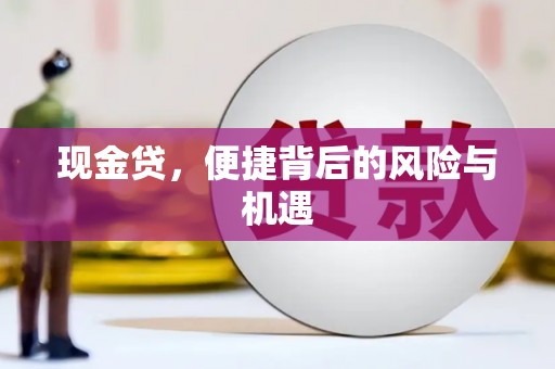 左镇现金贷，便捷背后的风险与机遇