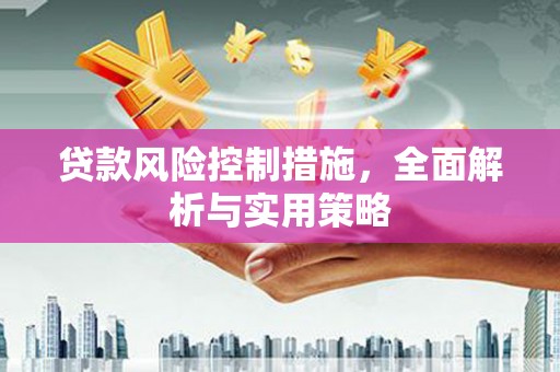 左镇贷款风险控制措施，全面解析与实用策略