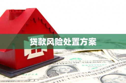 左镇贷款风险处置方案