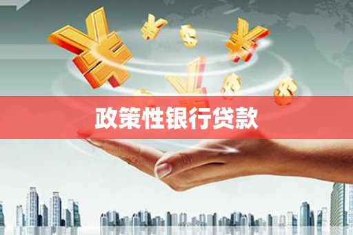 左镇政策性银行贷款