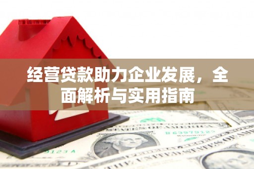 左镇经营贷款助力企业发展，全面解析与实用指南