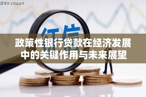左镇政策性银行贷款在经济发展中的关键作用与未来展望