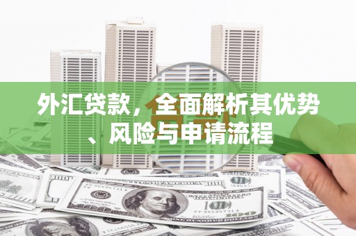 左镇外汇贷款，全面解析其优势、风险与申请流程