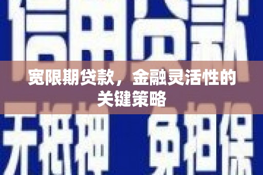 左镇宽限期贷款，金融灵活性的关键策略