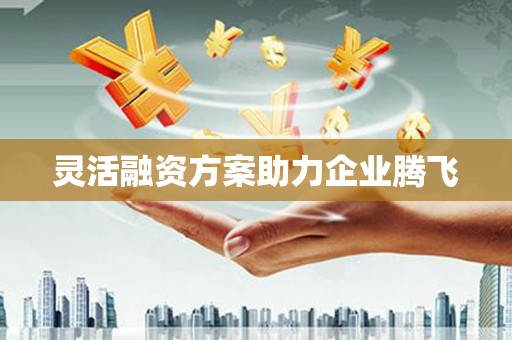左镇灵活融资方案助力企业腾飞