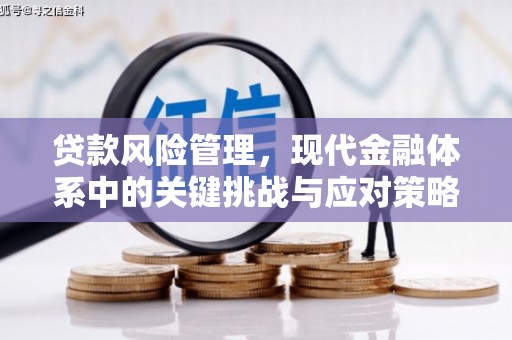 左镇贷款风险管理，现代金融体系中的关键挑战与应对策略