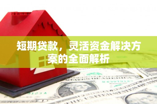 左镇短期贷款，灵活资金解决方案的全面解析
