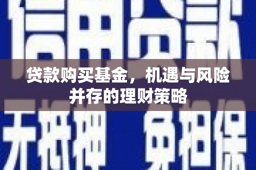 左镇贷款购买基金，机遇与风险并存的理财策略