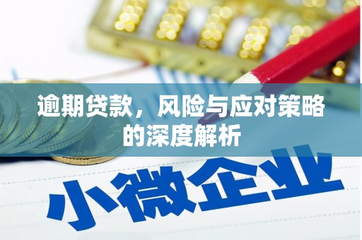 左镇逾期贷款，风险与应对策略的深度解析