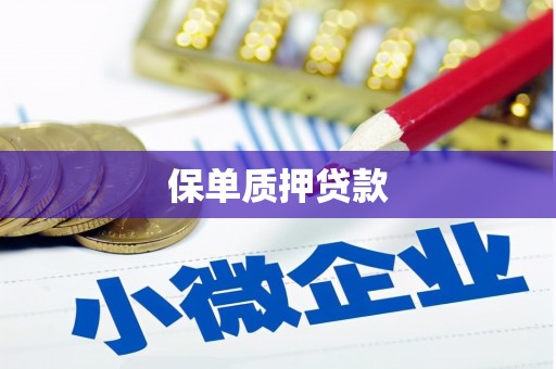 左镇保单质押贷款