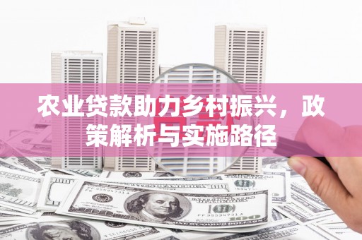 左镇农业贷款助力乡村振兴，政策解析与实施路径