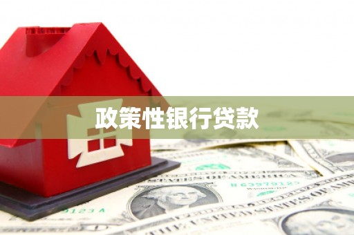 左镇政策性银行贷款