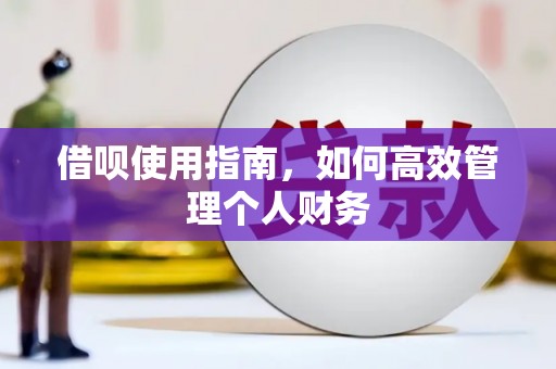 左镇借呗使用指南，如何高效管理个人财务