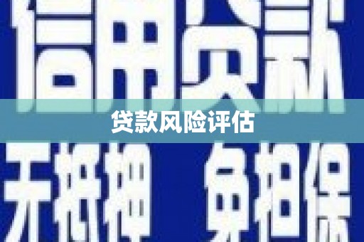 左镇贷款风险评估