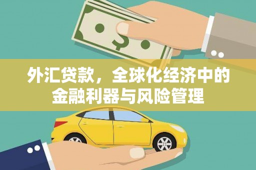 左镇外汇贷款，全球化经济中的金融利器与风险管理
