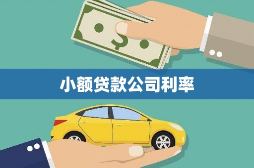左镇小额贷款公司利率