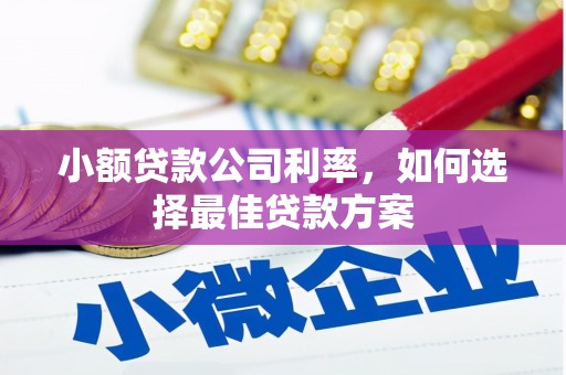 左镇小额贷款公司利率，如何选择最佳贷款方案