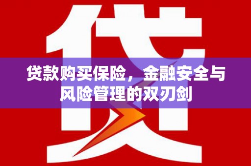 左镇贷款购买保险，金融安全与风险管理的双刃剑