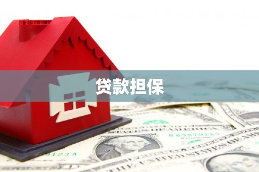 左镇贷款担保