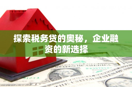 左镇探索税务贷的奥秘，企业融资的新选择