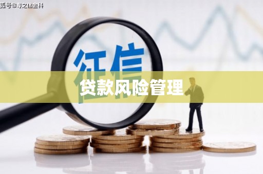 左镇贷款风险管理