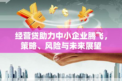 左镇经营贷助力中小企业腾飞，策略、风险与未来展望