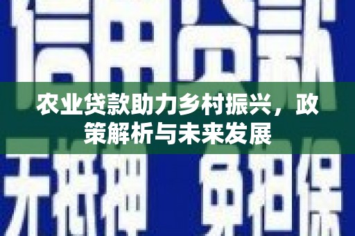 左镇农业贷款助力乡村振兴，政策解析与未来发展