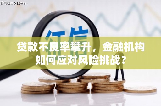 左镇贷款不良率攀升，金融机构如何应对风险挑战？