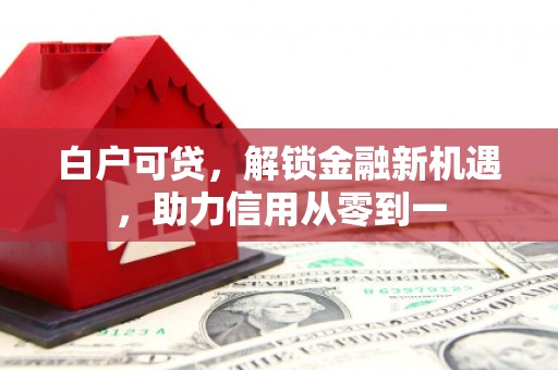 左镇白户可贷，解锁金融新机遇，助力信用从零到一