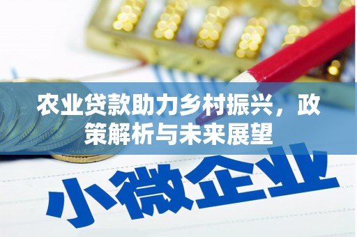 左镇农业贷款助力乡村振兴，政策解析与未来展望