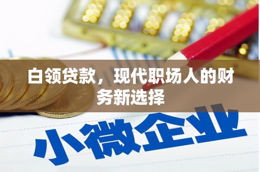 左镇白领贷款，现代职场人的财务新选择