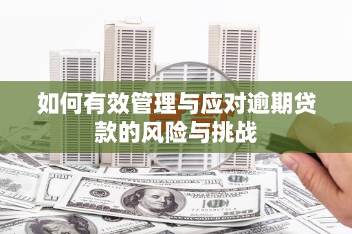 左镇如何有效管理与应对逾期贷款的风险与挑战