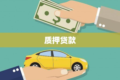 左镇质押贷款