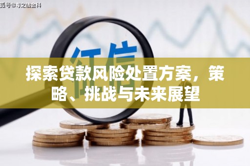左镇探索贷款风险处置方案，策略、挑战与未来展望