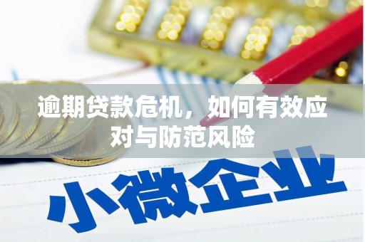 左镇逾期贷款危机，如何有效应对与防范风险