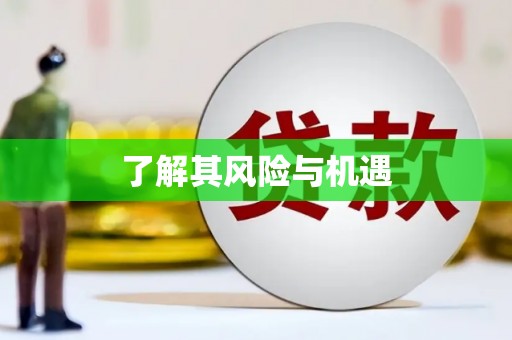 左镇了解其风险与机遇