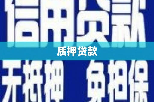 左镇质押贷款