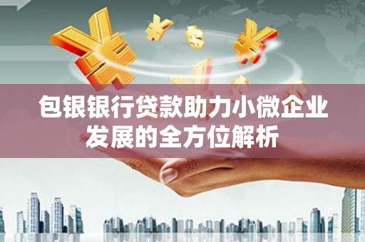 左镇包银银行贷款助力小微企业发展的全方位解析 左镇包银银行贷款助力小微企业发展的全方位解析