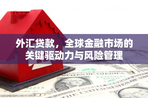 左镇外汇贷款，全球金融市场的关键驱动力与风险管理