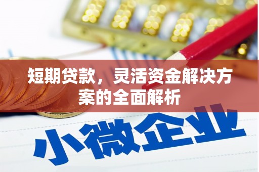 左镇短期贷款，灵活资金解决方案的全面解析