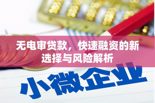 左镇无电审贷款，快速融资的新选择与风险解析