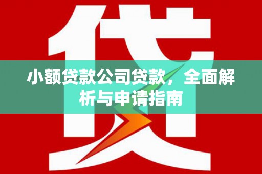 左镇小额贷款公司贷款，全面解析与申请指南